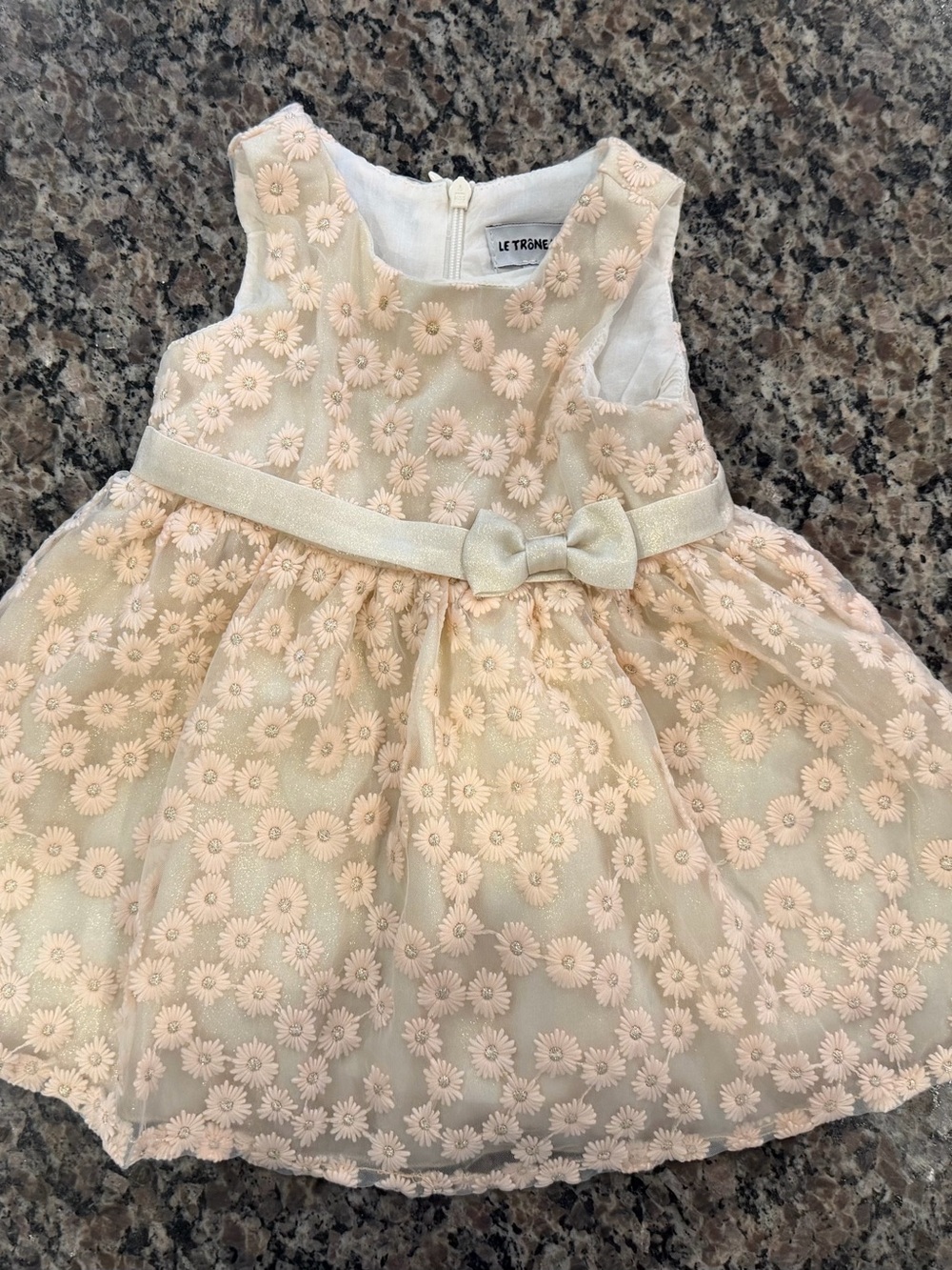 Baby Girl Pale Pink Floral Lace Party Dress